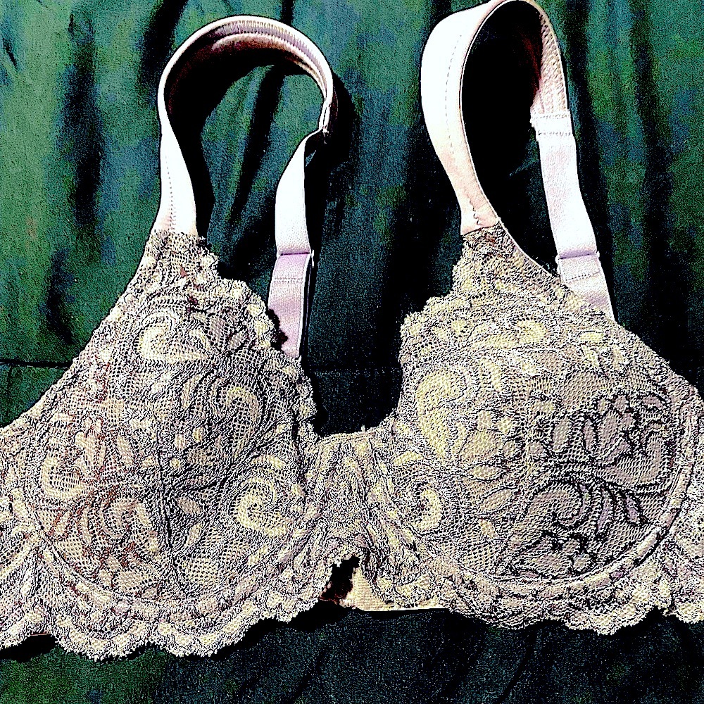 🔥🔥‼️Site wide SALE NEW 
Leading Lady Elegant Lace Underwire Bra - lavender color
